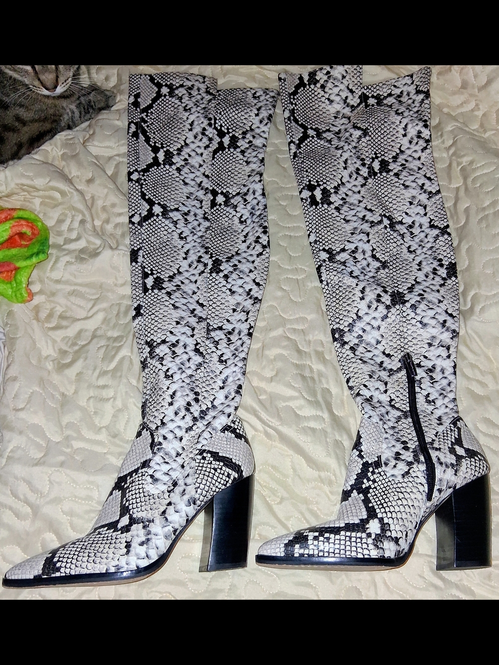 VINCE CAMUTO Above-the-knee Snake Print Block Heel Boots - White/Black